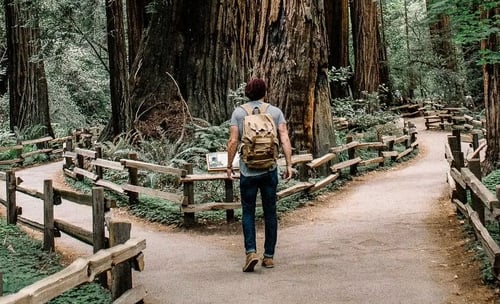 Adapting Workforce Strategy for Today’s Healthcare Reality